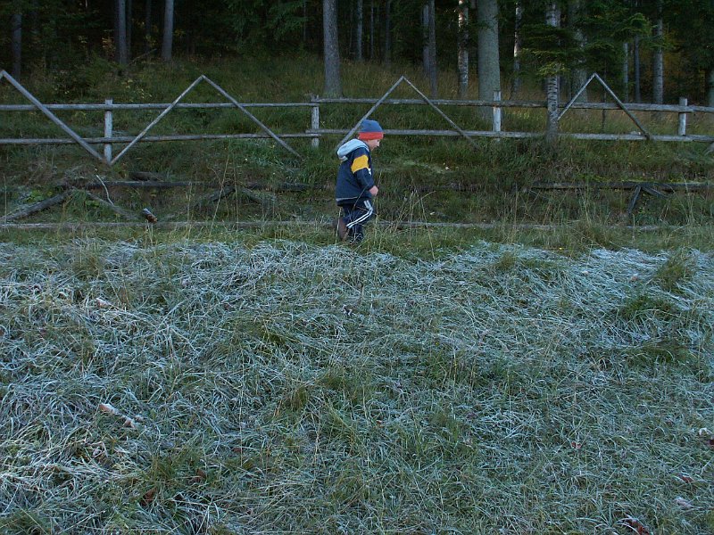 PICT0053.JPG