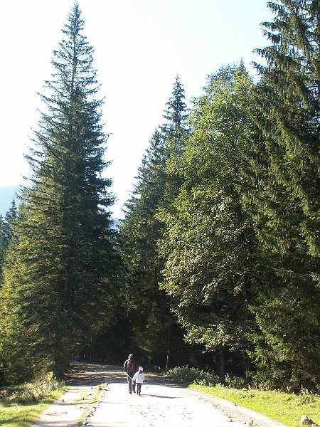 PICT0123.JPG