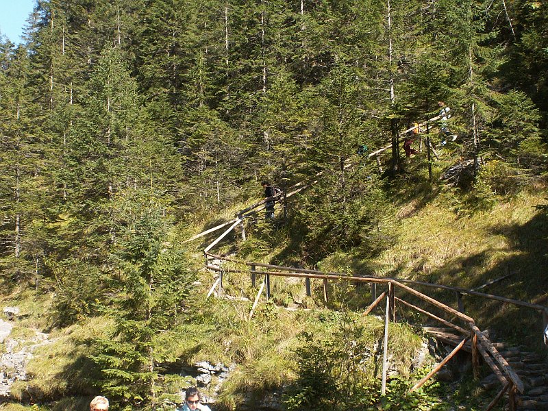 PICT0141.JPG