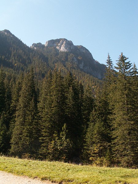 PICT0146.JPG