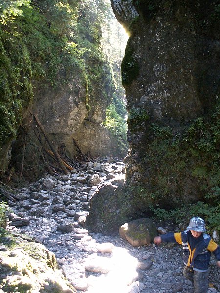 PICT0148.JPG