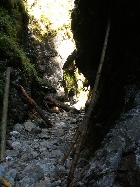 PICT0151.JPG