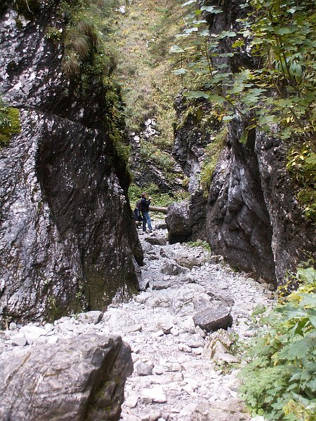 PICT0156.JPG