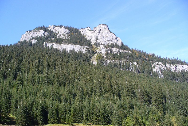 PICT0213.JPG