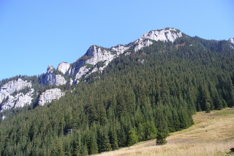 PICT0214.JPG