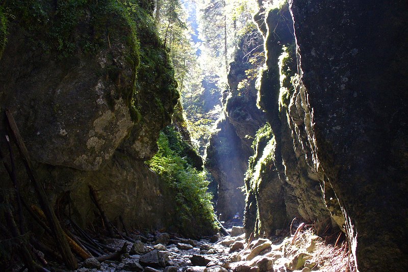 PICT0221.JPG