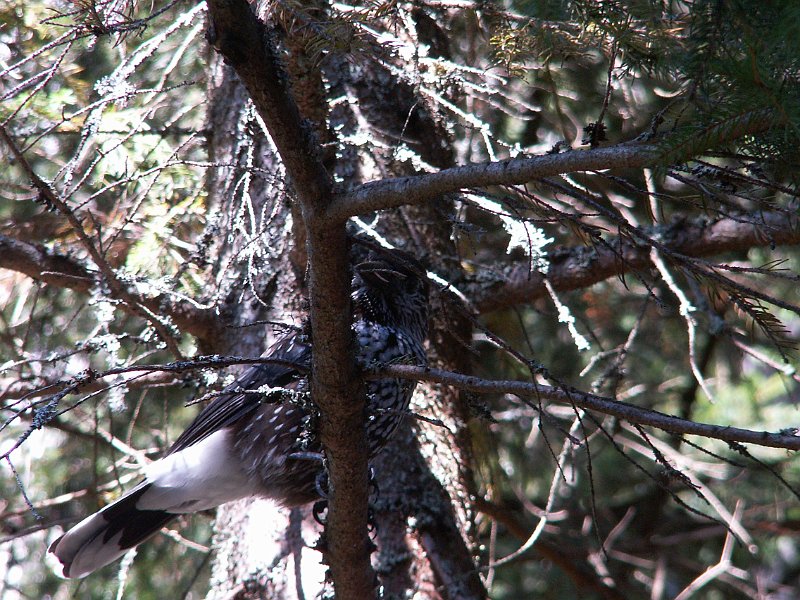 PICT0280.JPG