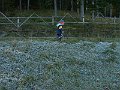 PICT0053