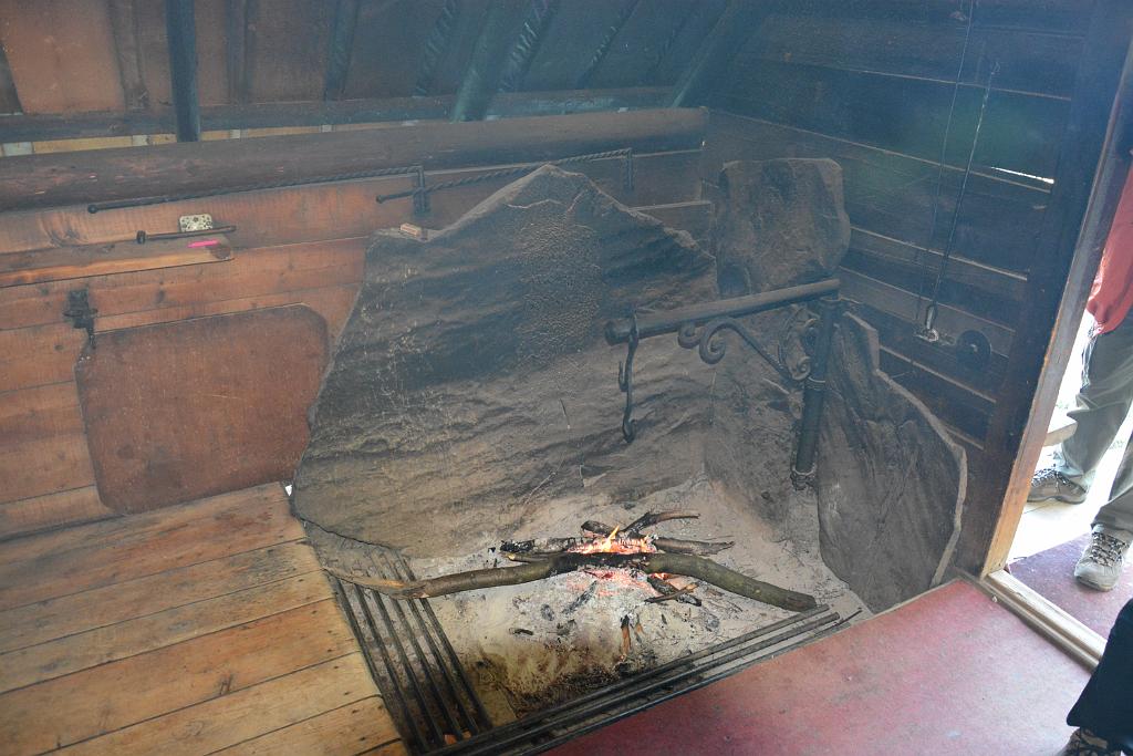 DSC_3497.JPG