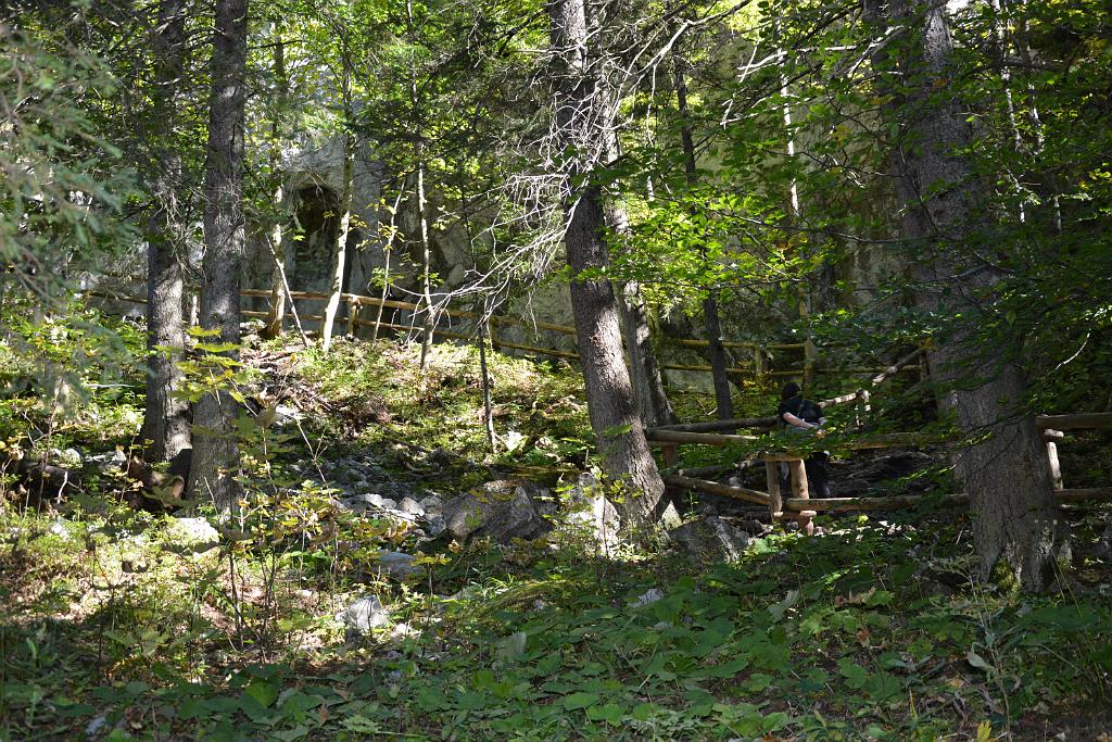 DSC_3502.JPG