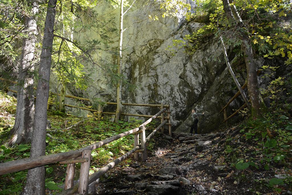 DSC_3503.JPG