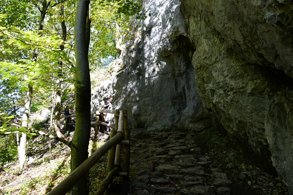 DSC_3504.JPG