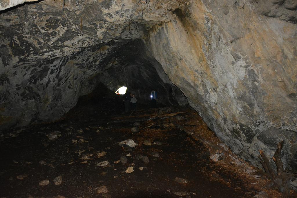 DSC_3509.JPG