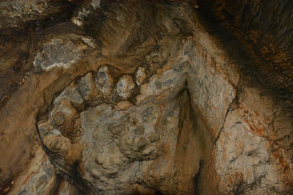 DSC_3510.JPG
