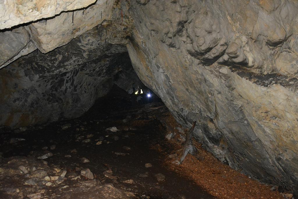 DSC_3512.JPG