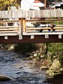 PIC0011