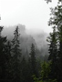 SAM_9414