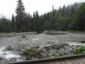 SAM_9419