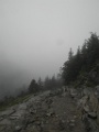 SAM_9427
