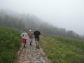 SAM_9435