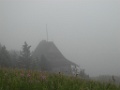 SAM_9436