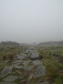 SAM_9447