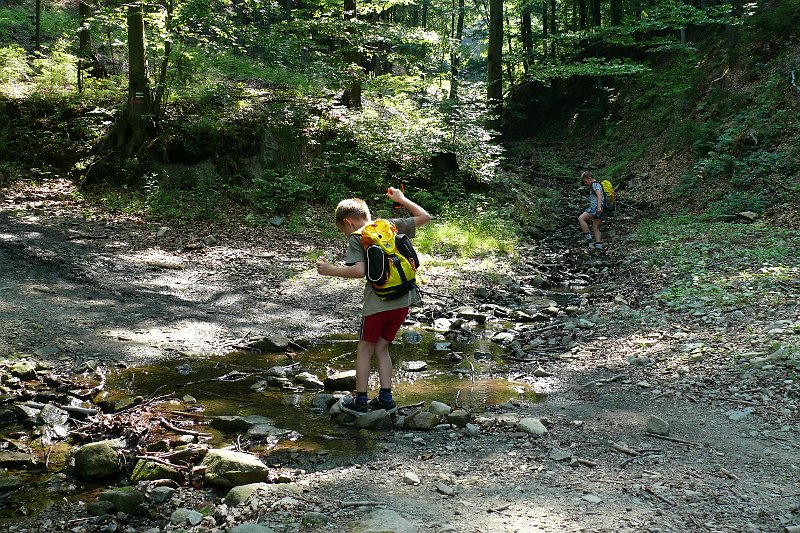 P1170303.JPG