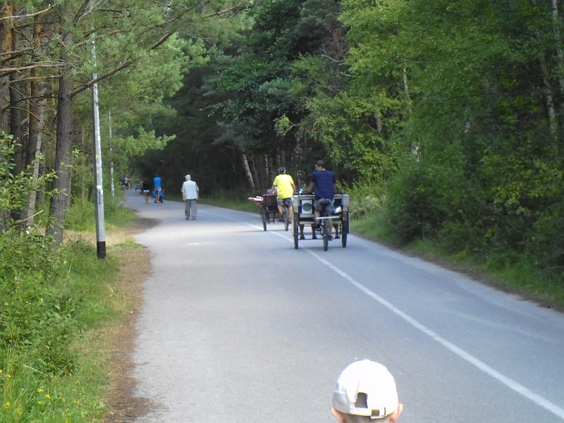 P1000812.JPG