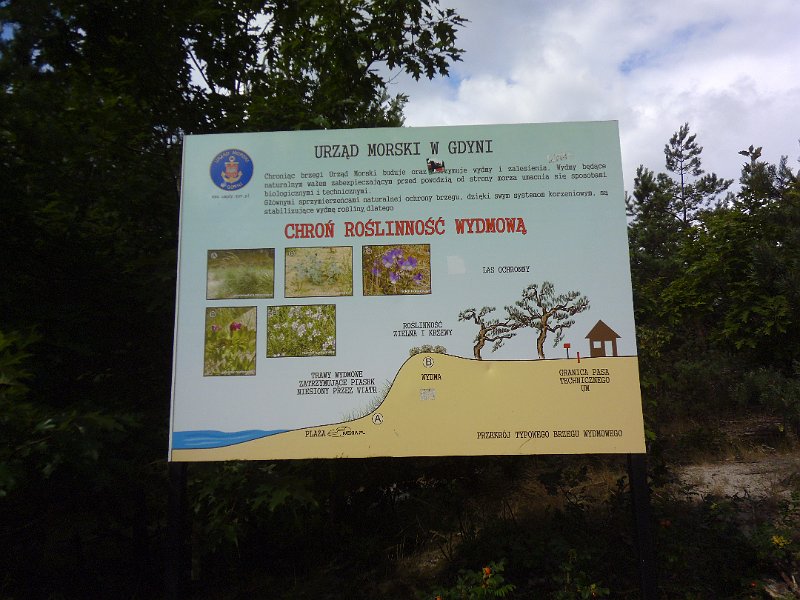 P1000817.JPG