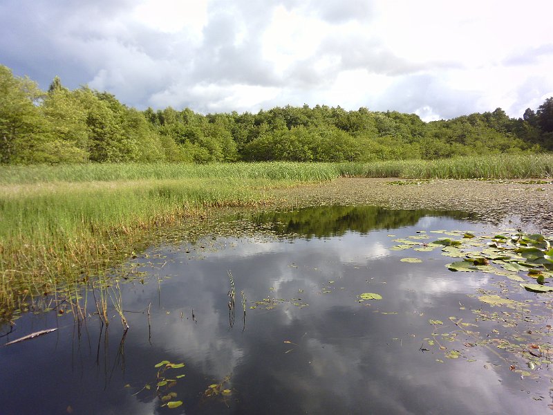 P1000848.JPG
