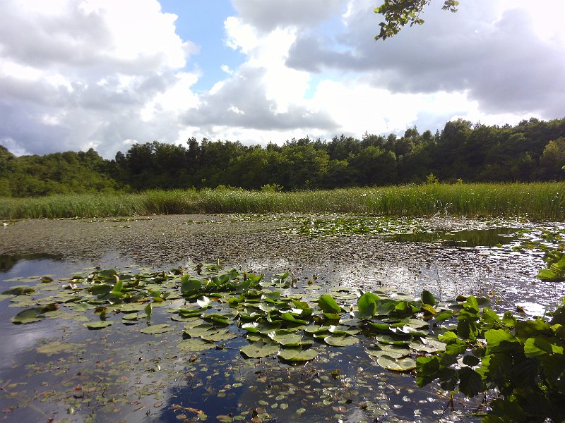 P1000849.JPG
