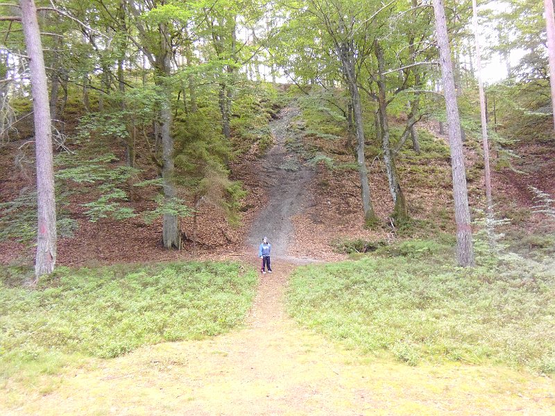 P1000853.JPG