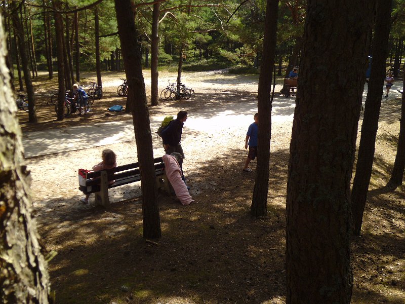 P1000877.JPG