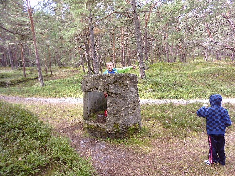 P1000888.JPG