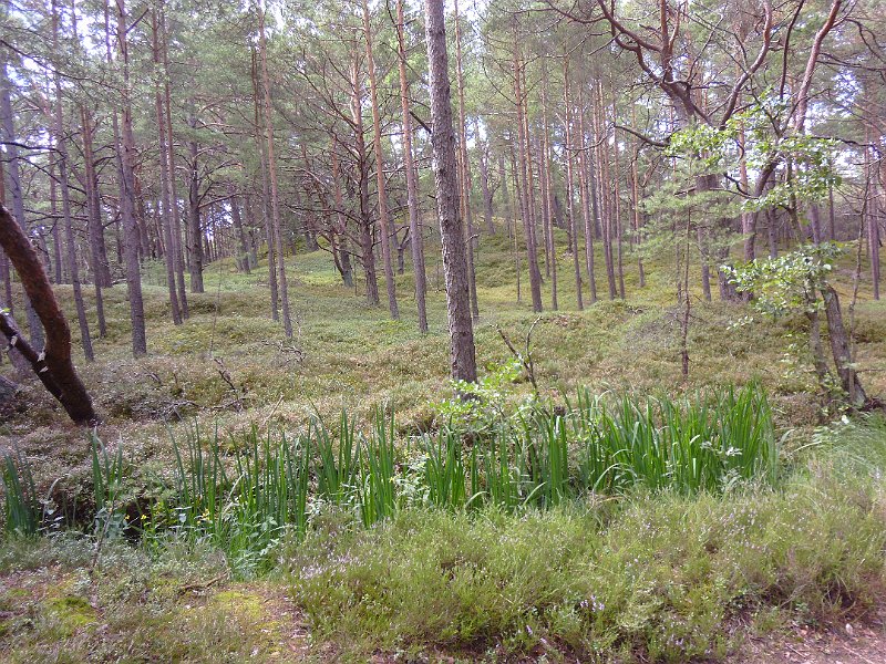 P1000893.JPG