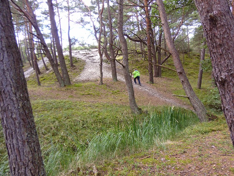 P1000894.JPG