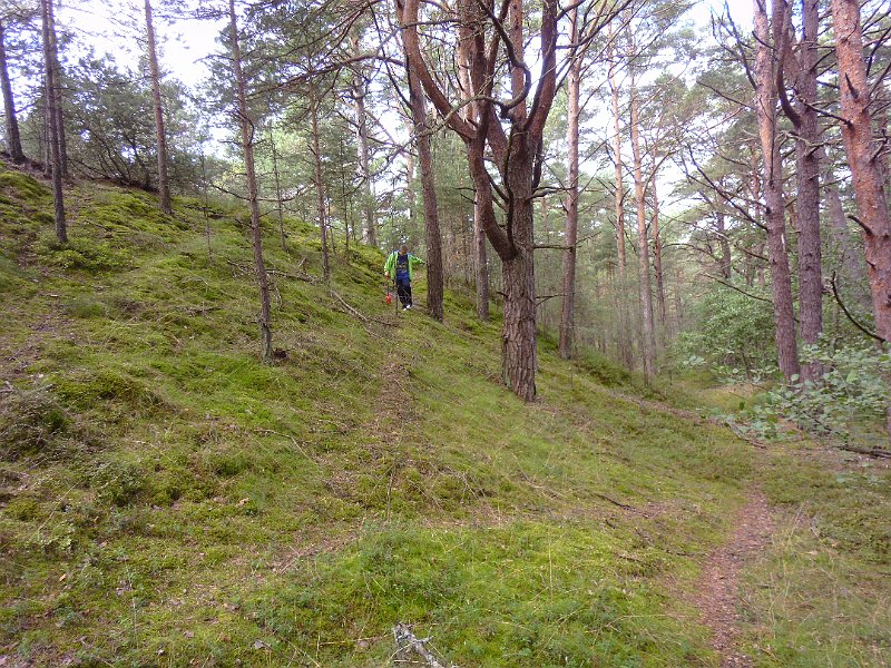 P1000898.JPG