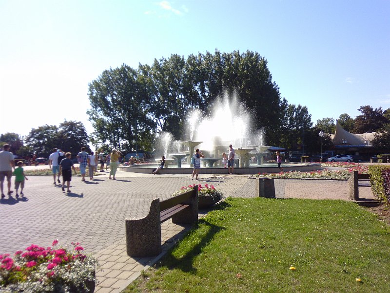 P1010007.JPG