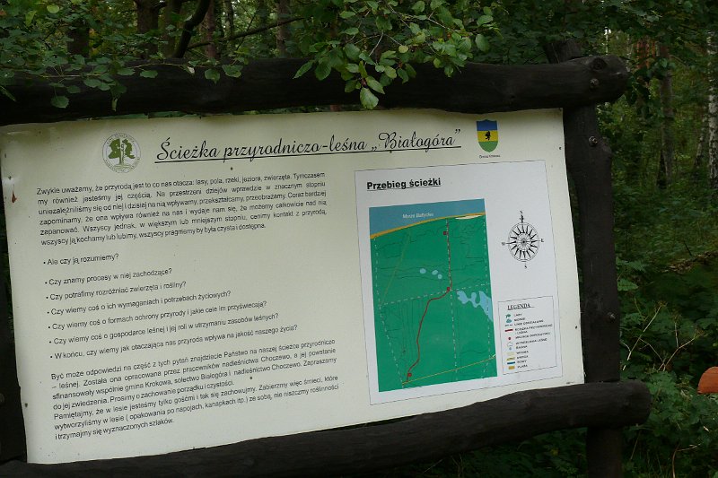 P1180824.JPG
