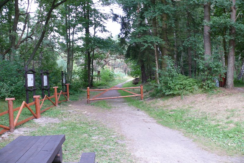 P1180825.JPG