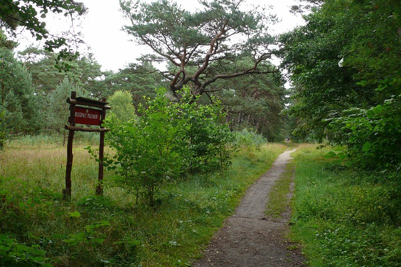 P1180858.JPG