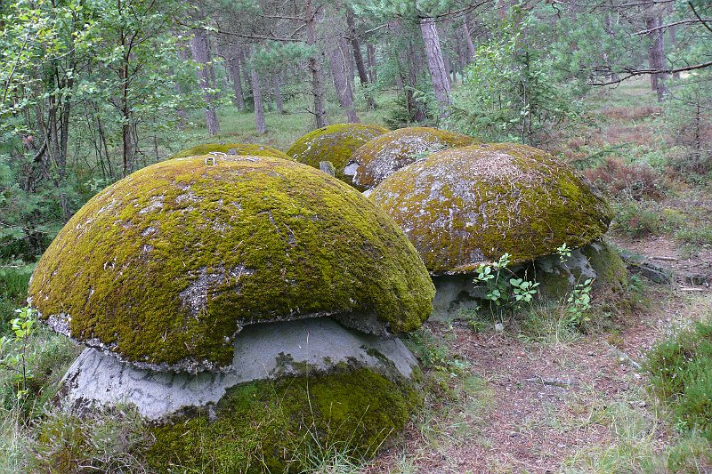 P1180860.JPG