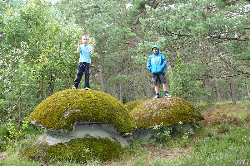 P1180866.JPG