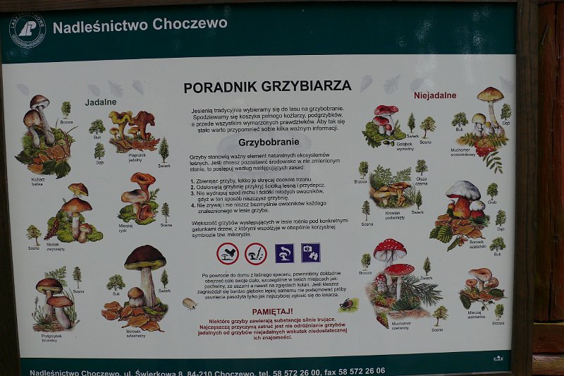 P1180870.JPG