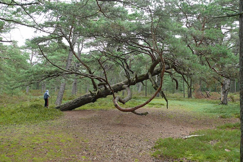 P1180874.JPG