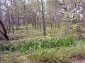 P1000893