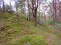 P1000898