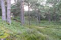P1180952