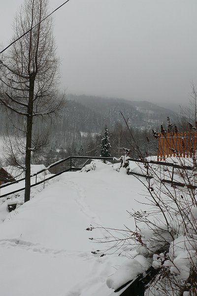 P1170896.JPG