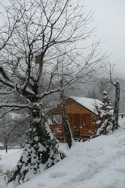 P1170943.JPG